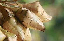 6 Resep Ketupat Lemak Khas Melayu, Wajib Ada Saat Lebaran