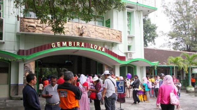 Sambut Imlek, Gembira Loka Zoo Yogyakarta Siapkan Pohon Angpao