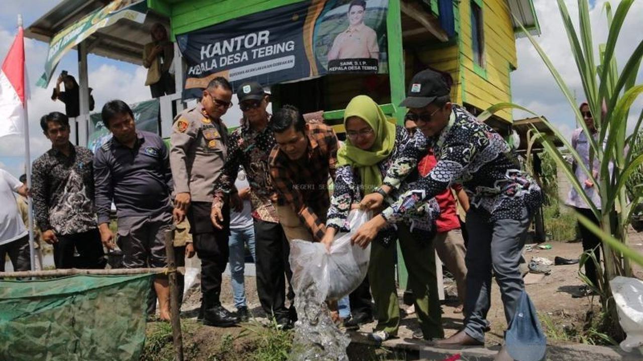 Tahukah Anda Ikan Nila Bisa Hidup di Air Payau? Pemkab Bangka Barat Salurkan Ribuan Bantuan Benih Ikan