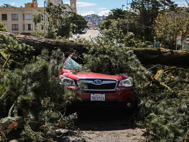 Pohon tumbang menimpa sebuah mobil setelah hujan badai lebat di Parker Avenue, San Francisco, California, Amerika Serikat, Rabu (22/3/2023). (Gabrielle Lurie/San Francisco Chronicle via AP)