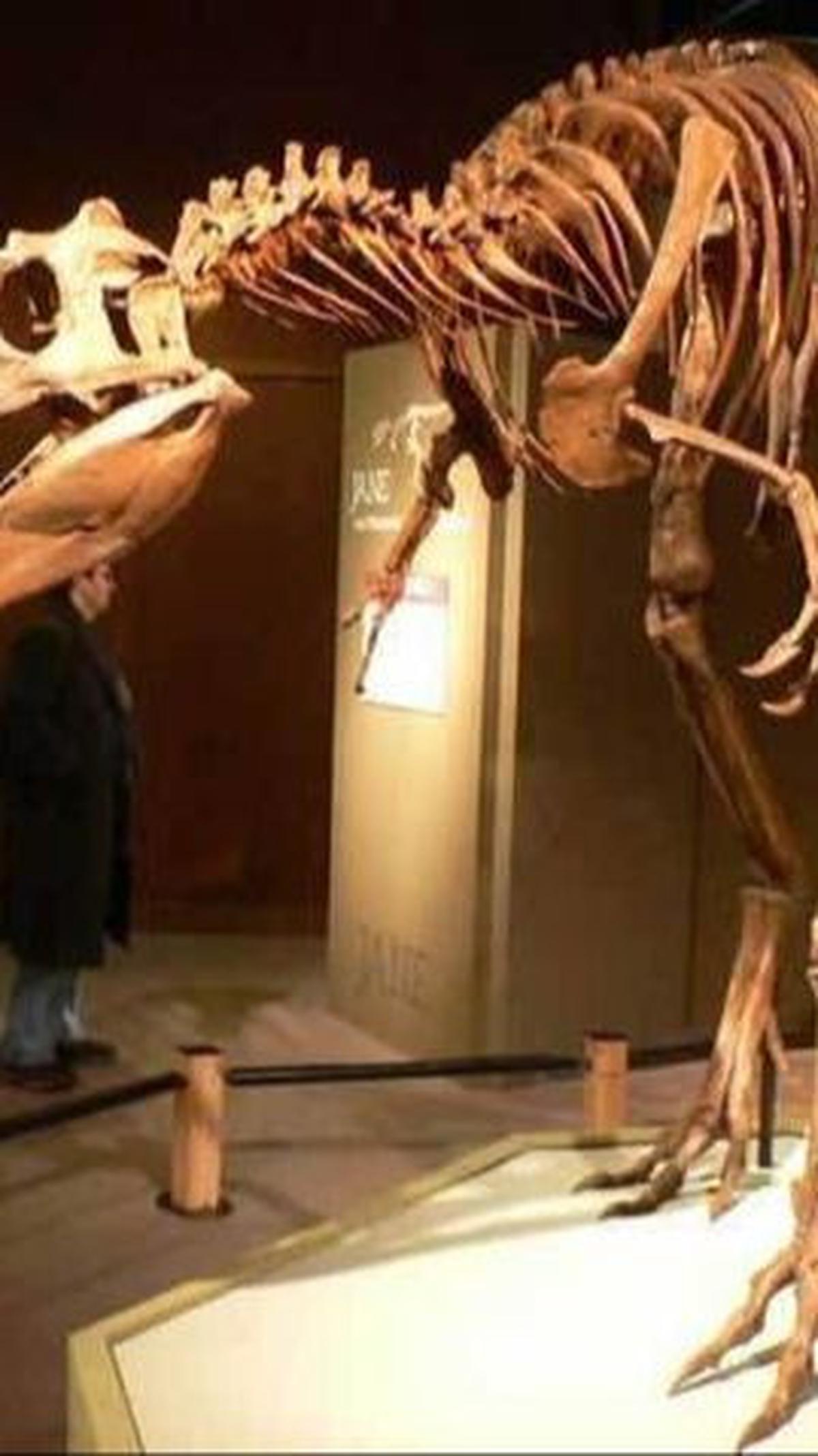 Punya Lengan yang Lebih Besar dari T. rex