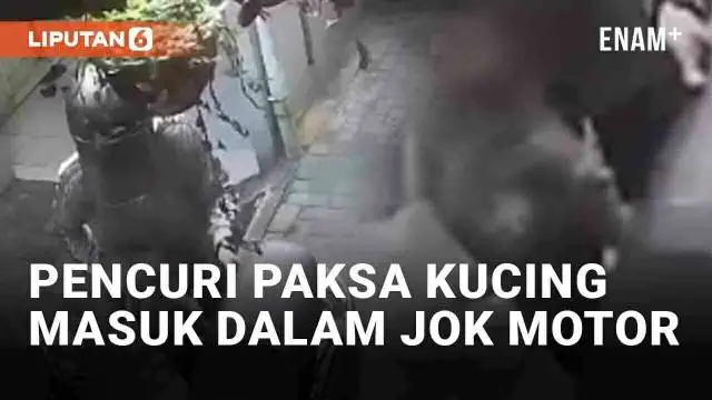 Aksi pencurian hewan peliharaan terjadi di Jl HOS Cokroaminoto, Karang Tengah, kota Tangerang (22/1/2024). Pelaku menargetkan seekor kucing ras berwarna gelap. Aksi pelaku dikecam warganet lantaran membahayakan nyawa kucing.