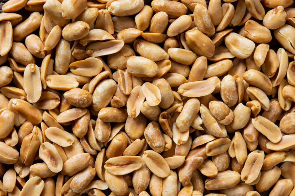 kacang tanah