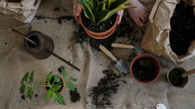 Gardening