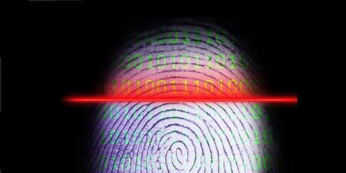 Fingerprint support