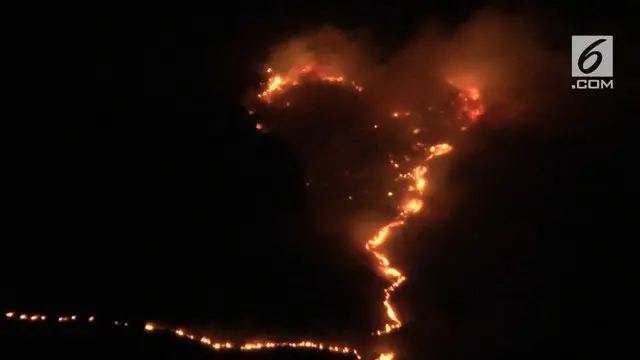 Kebakaran terjadi di lereng Gunung Sumbing 22 petugas gabungan melakukan penyekatan mencegah meluasnya api