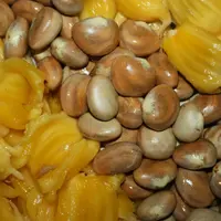 Biji nangka. Foto: ethnichealthtips