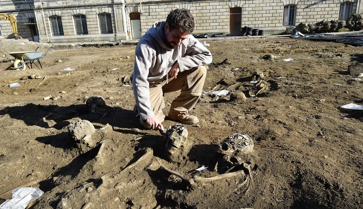 Seorang Arkeologi Investigasi "Hades", Xavier Perrot mengangkat sisa-sisa kerangka, tengkorak dan tulang yang nantinya akan diteliti di daerah pemakaman kuno di Bordeaux, Prancis (6/12). (AFP/Georges Gobet)