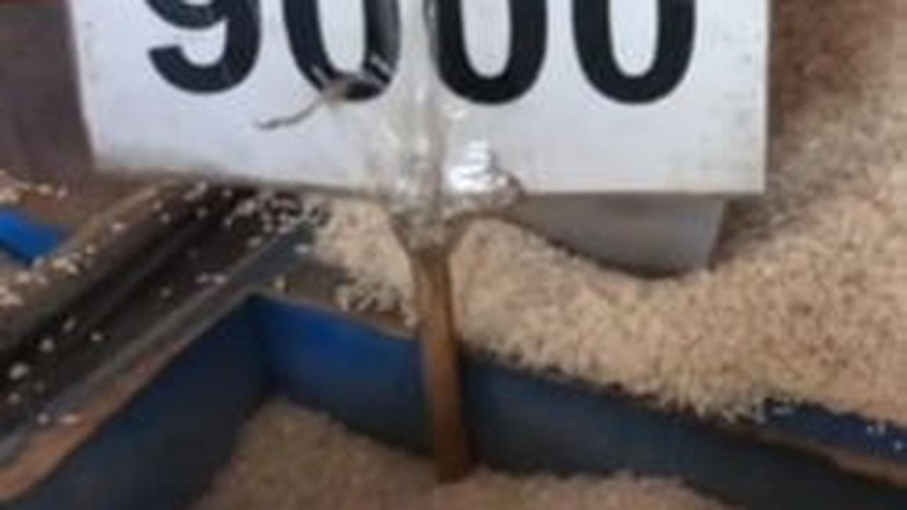 Beras yang dimakan pemilik akun dan keluarga juga diperhitungkan dengan terperinci. Ia hanya mengalokasikan beras seharga Rp9.000/kilo sebanyak 12 kg untuk 3 orang makan dalam sebulan.
