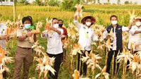 Menteri Pertanian (Mentan) Syahrul Yasin Limpo menghadiri panen raya jagung di Desa Baumata, Kecamatan Tabenu, Kabupaten Kupang, Nusa Tenggara Timur (NTT).