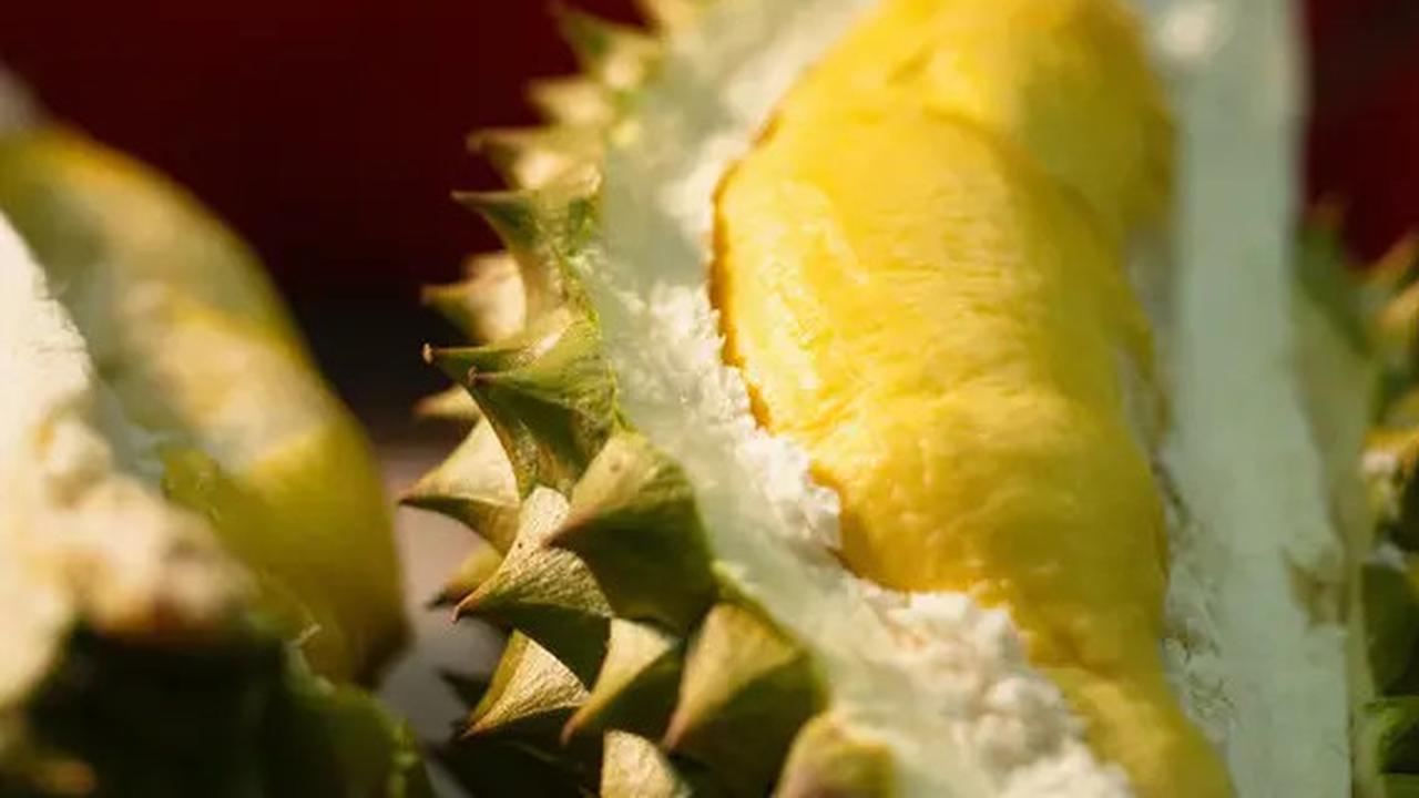 Bolehkah Penderita Diabetes Makan Durian? Simak Saran dari Ahli Gizi