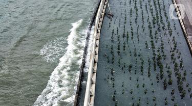 Waspada Banjir Rob di Pesisir Jakarta hingga Akhir Tahun