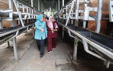 PKK Banten Ajak Keluarga Adaptasi Sistem Pertanian Terpadu Sitandu untuk Ketahanan Pangan