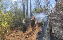 Kebakaran Gunung Butak Akhirnya Padam Total
