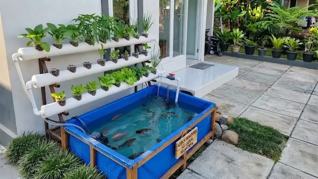 Memasang Pompa dan Pipa Air