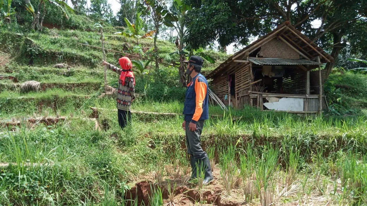 Tanah terbelah 100 meter mengancam permukiman dan sawah di Desa Kutaagung, Dayeuhluhur, Cilacap, Jawa Tengah. (Foto: Liputan6.com/BPBD Cilacap)