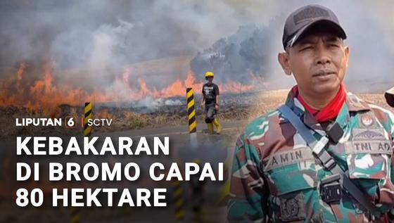 Kebakaran di Bromo Capai 80 Hektare