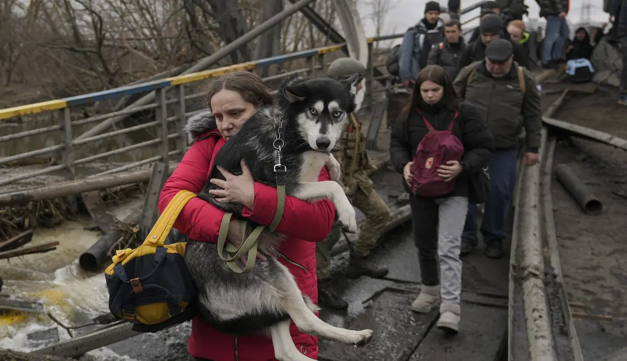 Seorang perempuan memegang seekor anjing saat menyeberangi Sungai Irpin di jalur improvisasi di bawah jembatan saat orang-orang melarikan diri dari kota Irpin, Ukraina, Sabtu, 5 Maret 2022. (AP Photo/Vadim Ghirda)