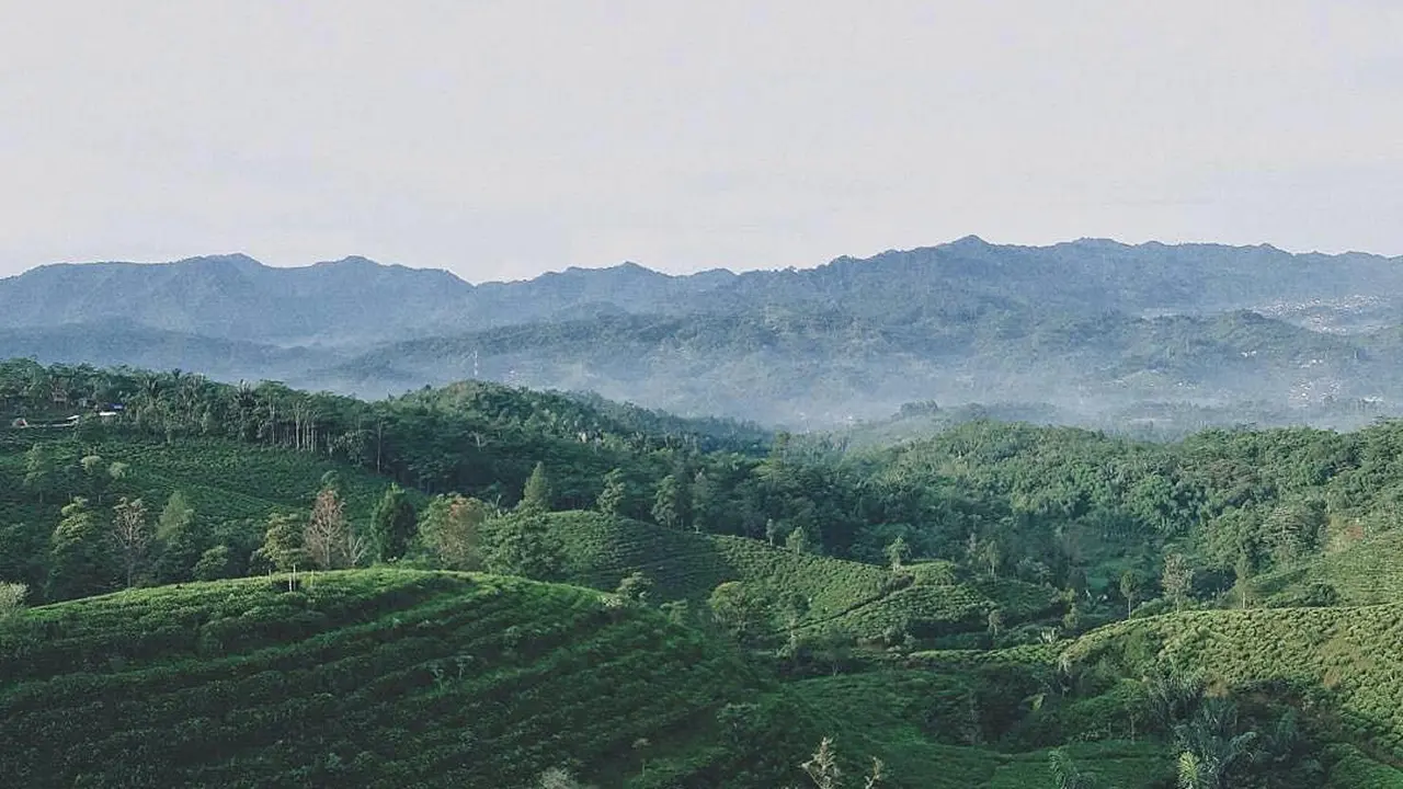 [Bintang] Jawa Barat