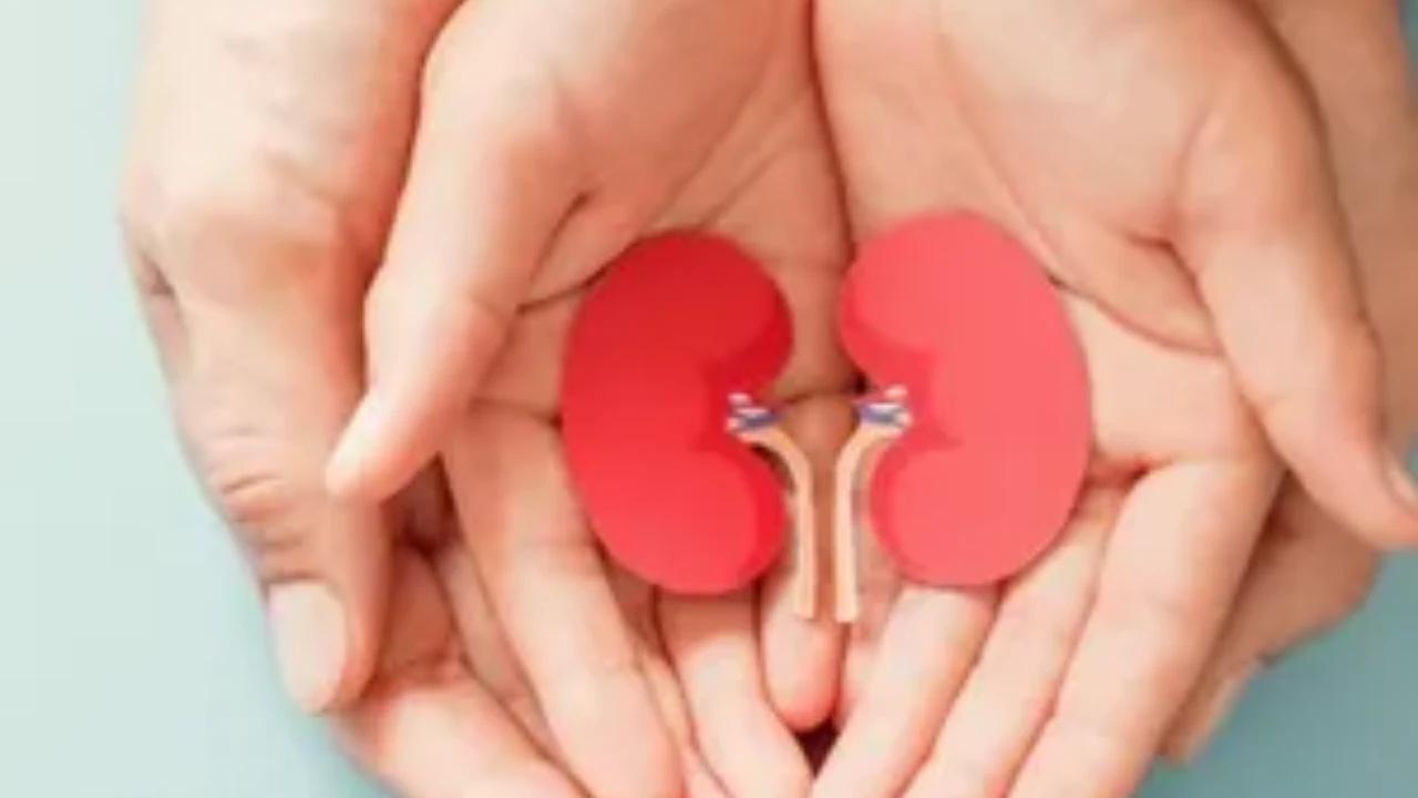 4 Kebiasaan Sederhana untuk Menjaga Ginjal Tetap Sehat hingga Usia Lanjut