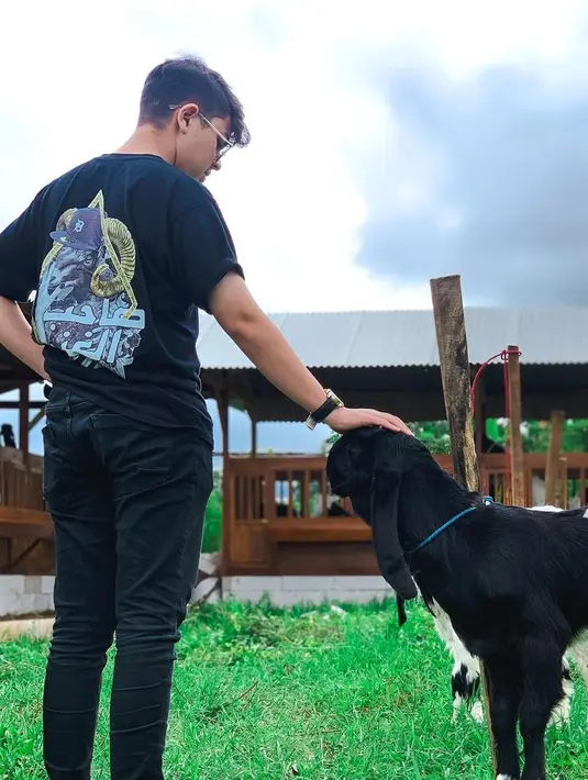 <p>Baim memilih merintis usaha dengan menjadi juragan kambing. Jenis kambing penghasil susu, daging, hingga kambing untuk kontes. [Instagram/baimalkatiri]</p>