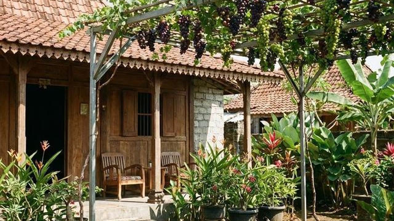 Buah Apa yang Cocok Ditanam di Halaman Belakang? Berikut 10 Tanaman Favorit Keluarga