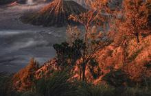 10 Wisata Gunung Bromo Terfavorit, Ada Spot Sunrise yang Eksotis