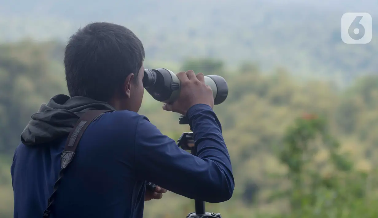 Petugas Pusat Suaka Elang Jawa (PSSEJ) memonitor pergerakan burung elang lainnya melalui kamera DSLR di area pelepasan burung Elang Brontok (Nisaetus Cirrhatus). (merdeka.com/Imam Buhori)