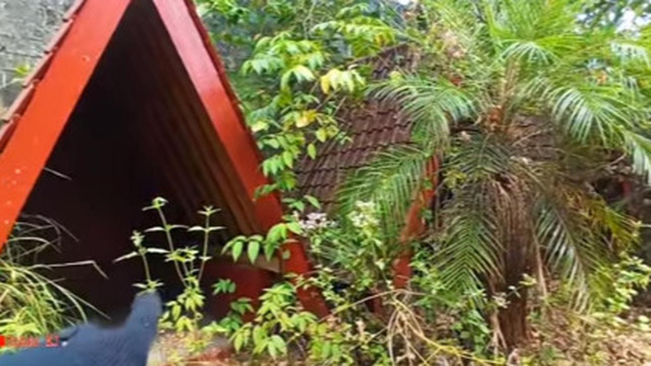 Dulu Indah dan Ramai, Kafe Ini Kini Terbengkalai, di Dalamnya Masih Banyak Barang-barangnya