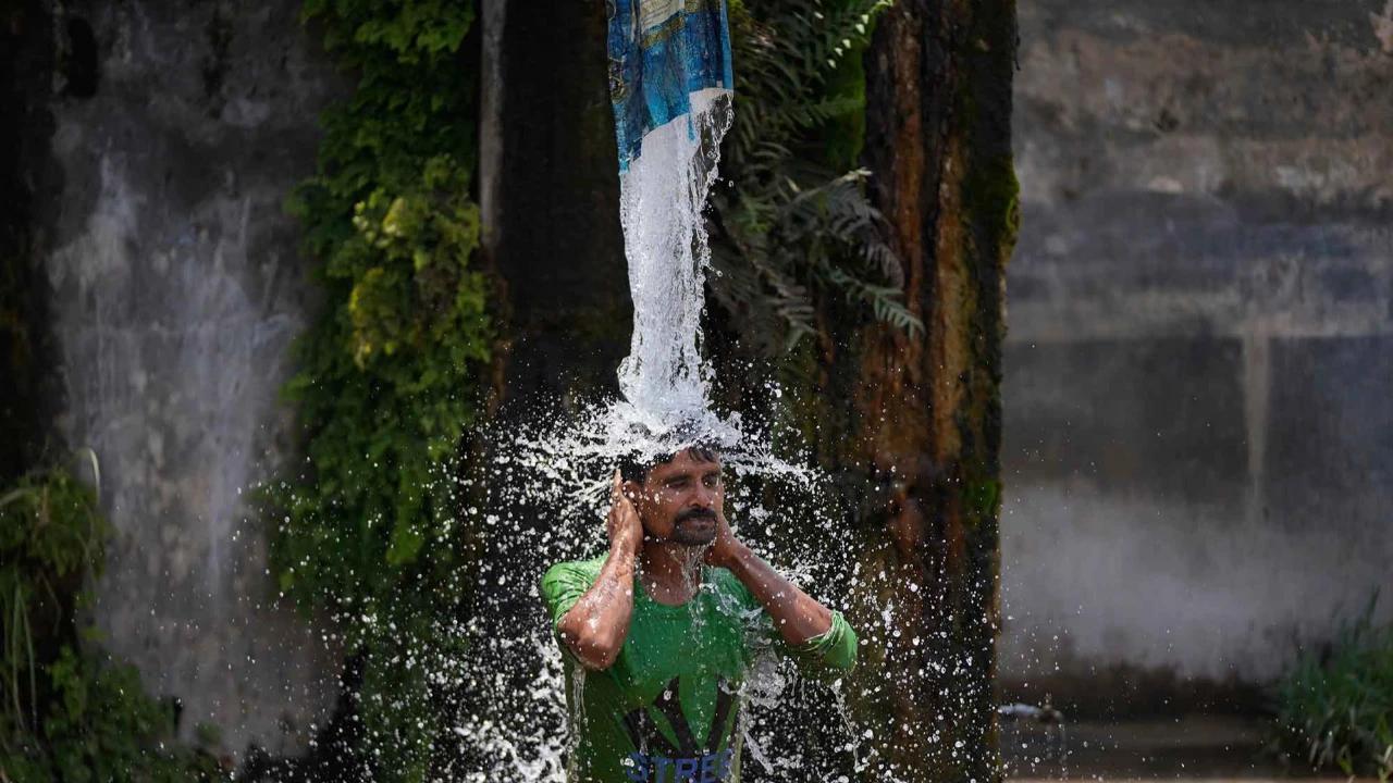 FOTO: Gelombang Panas Ekstrem Lumpuhkan Aktivitas Warga India Utara