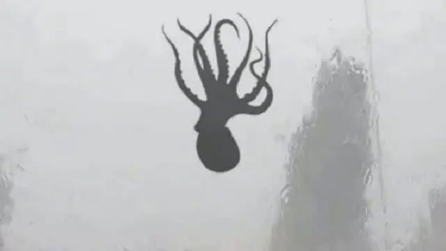 [Bintang] Hujan Seafood