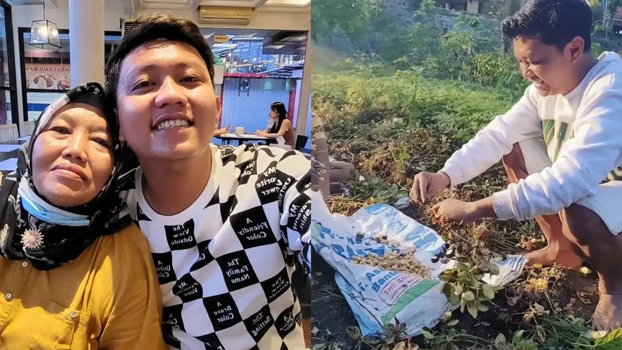 Denny Caknan Panen Palawija