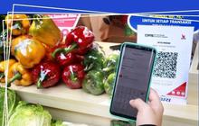 Sederet Manfaat Pakai QRIS di BRImo Bagi Konsumen dan Merchant