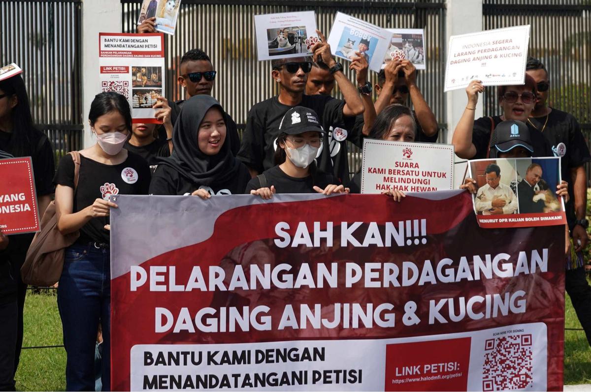 Aktivis Hewan Luapkan Kekecewaan RUU Perlindungan Anjing-Kucing Gagal Masuk RUU Prolegnas