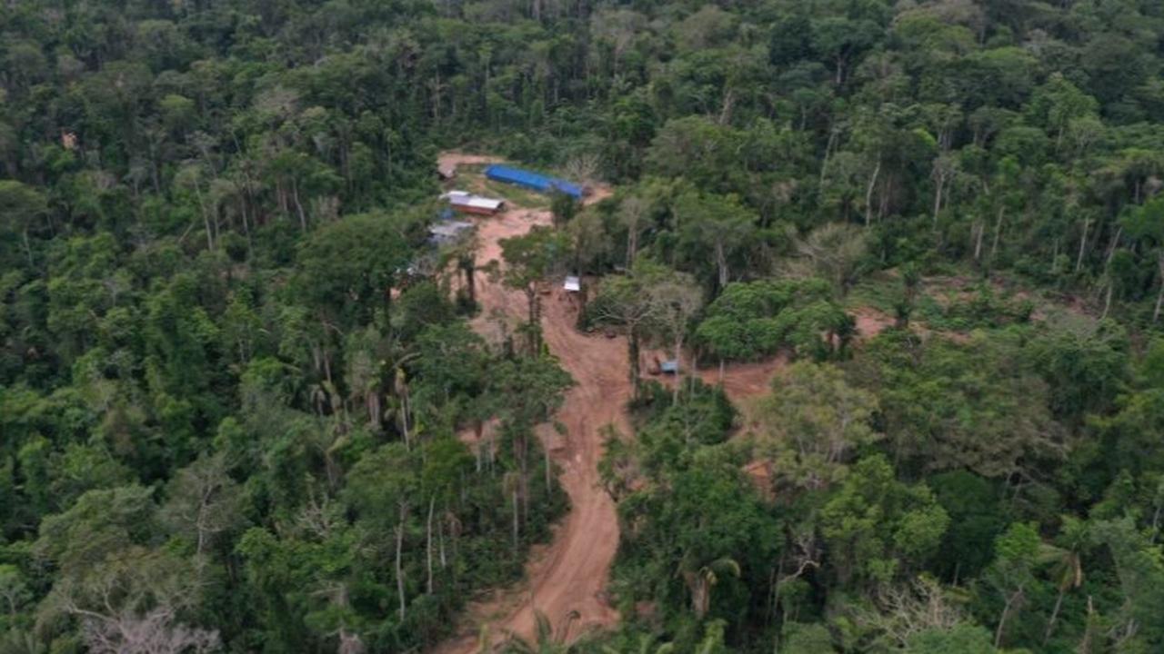 Lokasi pembalakan liar di dalam hutan Amazon, Peru, lahan yang ditempati suku Mashco Piro.