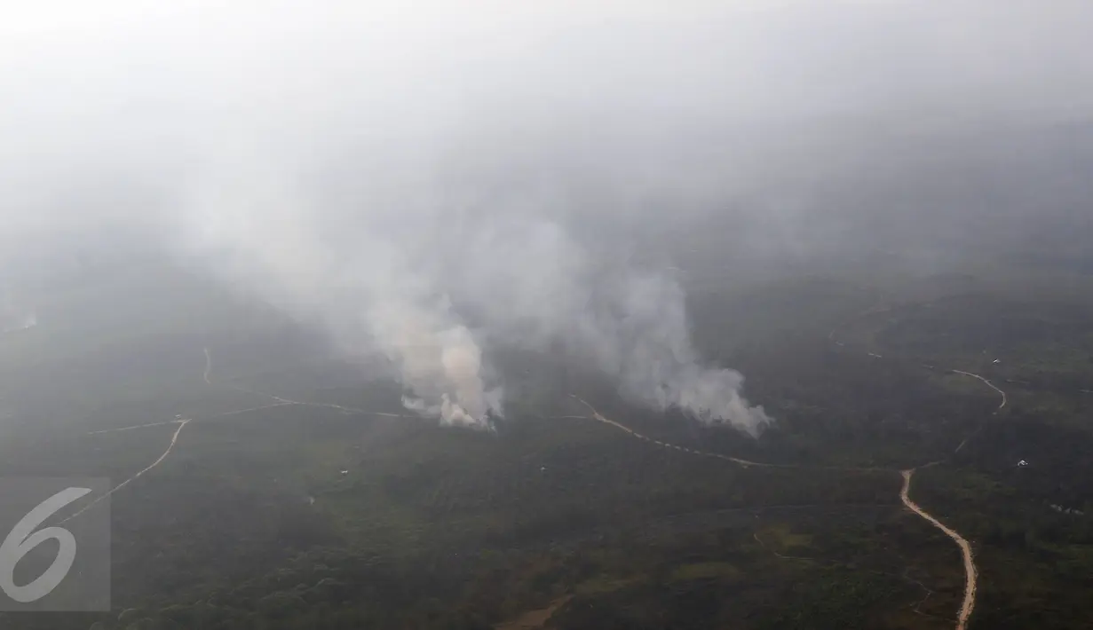 Asap mengepul dari sejumlah titik api yang membakar hutan di wilayah Kaimantan Timur, Selasa (27/10). Kabut asap yang menyelimuti Kalimantan mulai berkurang dikarenakan beberapa wilayah sumber asap telah turun hujan. (Liputan6.com/Immanuel Antonius)