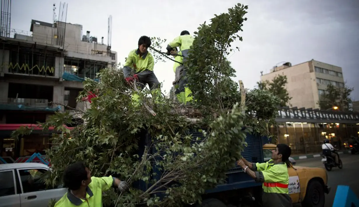 Pasca badai pasir yang melanda Teheran, Iran, (2/6/2014), beberapa petugas terlihat sibuk memotong batang pohon yang menimpa sebuah kendaraan. (AFP PHOTO/Behrouz Mehri)  