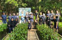 Hari Mangrove Sedunia, PNM Peduli Tanam 50.000 Mangrove untuk Tekan Bencana di Pesisir