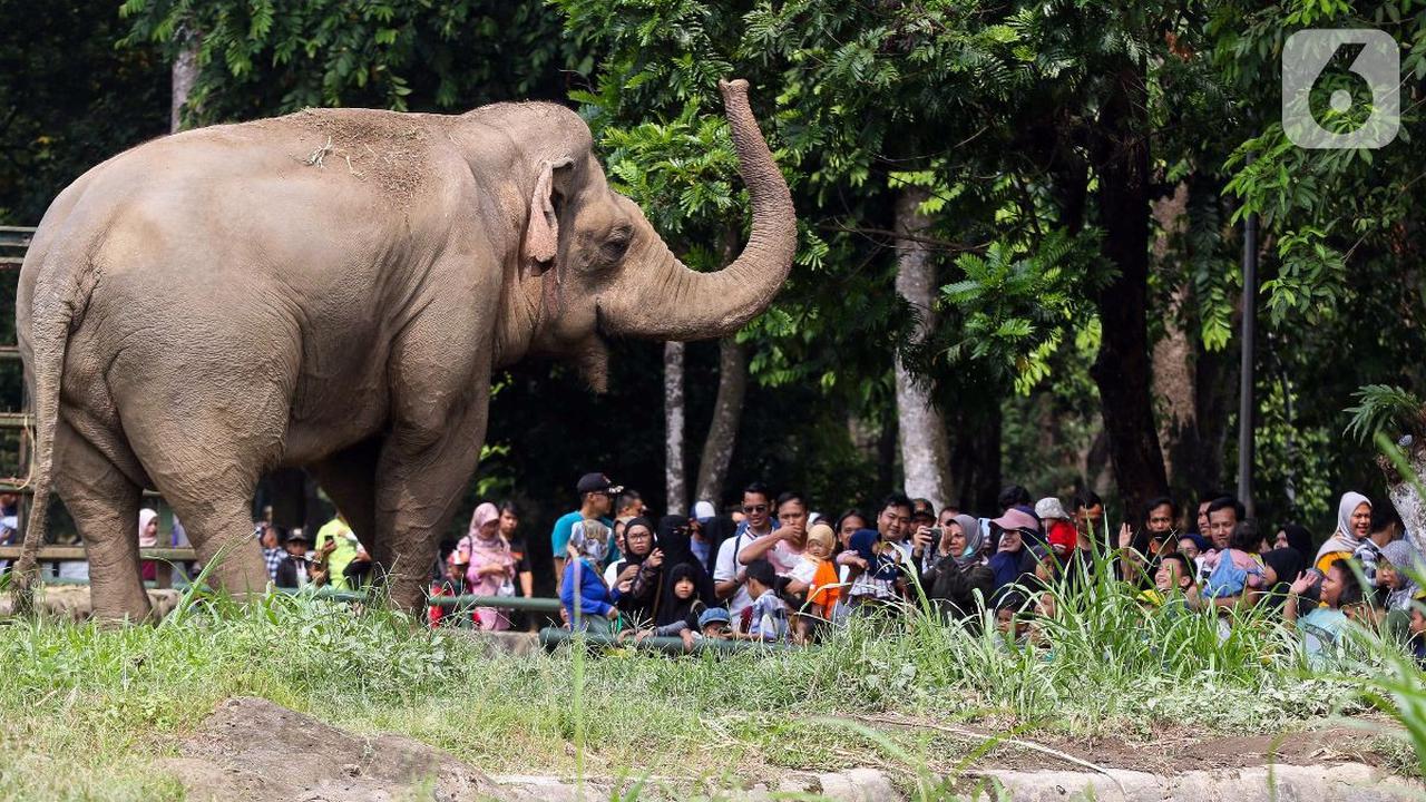 4. Taman Margasatwa Ragunan