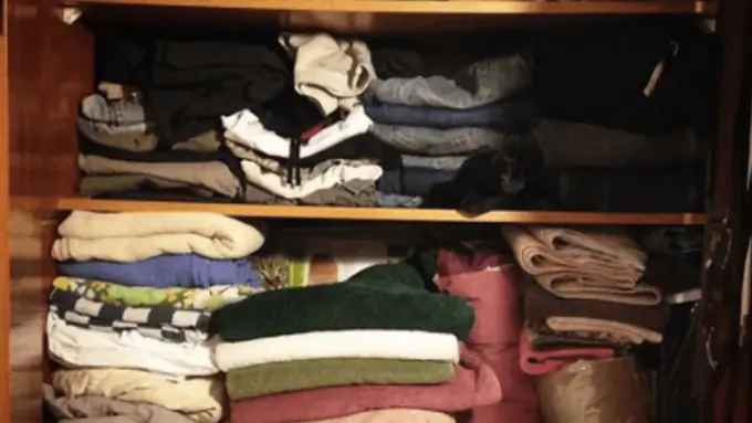 Temukan Kucing yang bersembunyi dalam gambar ini.