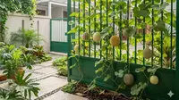 9 Jenis Melon yang Bisa Ditanam Merambat di Pagar Rumah, Buahnya Manis dan Mudah Dirawat