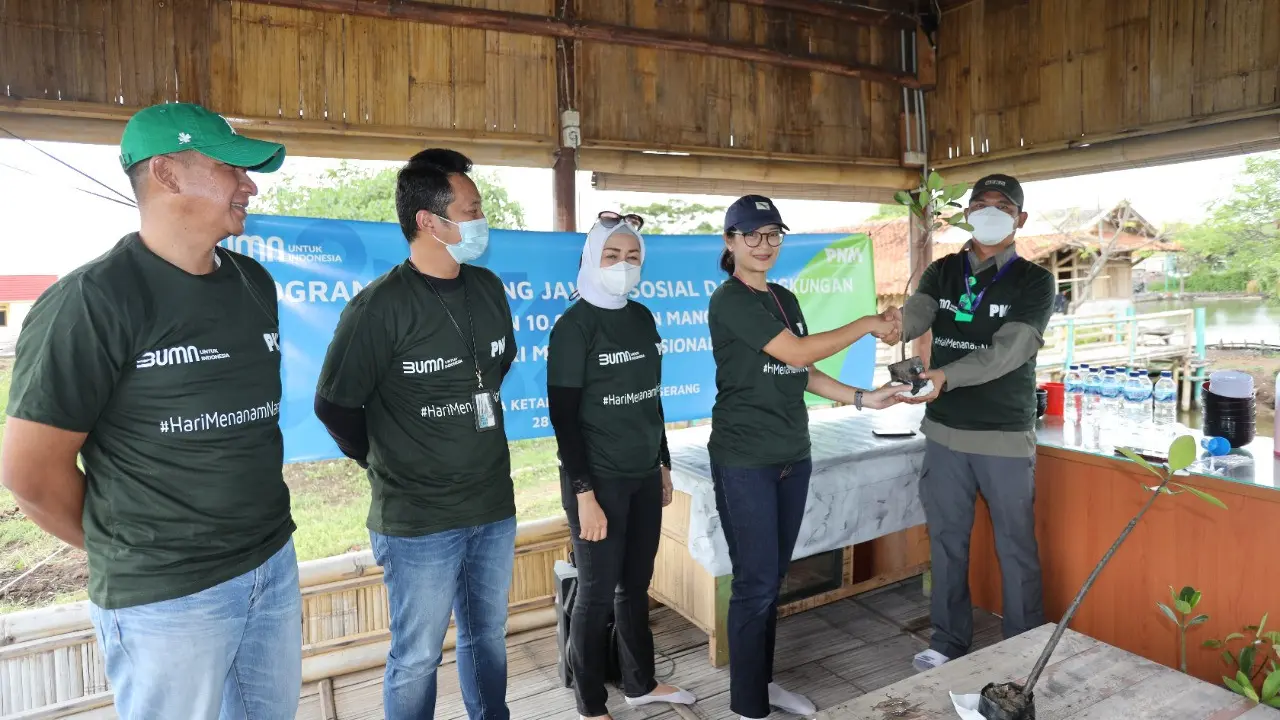 Bantu Wujudkan Lingkungan Lebih Baik PNM Tanam 10.000 Mangrove di Desa Ketapang, Tangerang