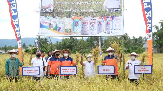 Program Agro Solution Pupuk Kaltim berhasil meningkatkan hasil pertanian Gorontalo