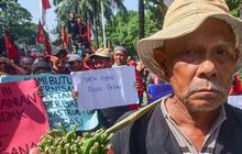FOTO: Hari Tani Nasional, Petani Indramayu Tuntut Perbaikan Irigasi dan Modernisasi Pertanian