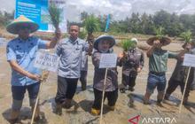 Kemenko Pangan Dorong Kolaka Optimalkan Pertanian Dukung Swasembada Pangan Nasional
