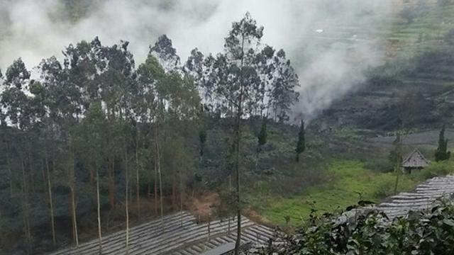 Kawah Sileri meletus