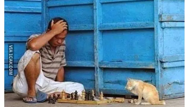 6 Momen Kocak Bapak-Bapak saat Main Catur Ini Bikin Tepuk Jidat