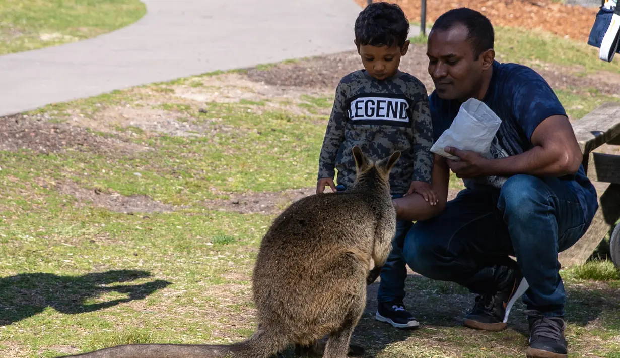 Sejumlah orang mengunjungi Taman Margasatwa Symbio di tengah pandemi COVID-19, Sydney, Australia, 5 September 2020. Beberapa kebun binatang dan taman margasatwa di Sydney sudah kembali dibuka untuk umum. (Xinhua/Zhu Hongye)