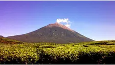 Gunung Kerinci di Provinsi Jambi kini dalam status Waspada. Status tersebut didasarkan pada aktivitas kegempaan yang cenderung meningkat. Menurut Kepala Pos Pengamatan Gunung Kerinci, Indra Saputra, gunung api tertinggi di Sumatera dengan ketinggian 3.805