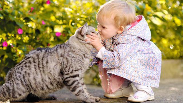 Ajak balita Anda merawat kucing